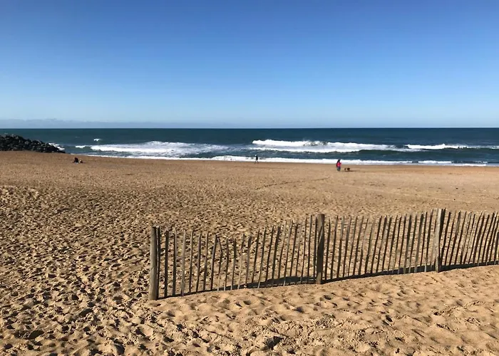 Anglet- Biarritz T3 Dans Residence Avec Piscine