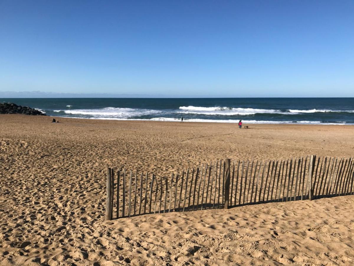 Anglet- Biarritz T3 Dans Avec Piscine Anglet